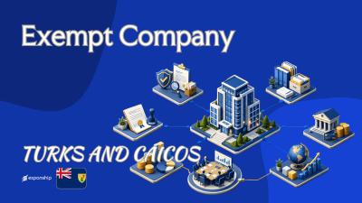 Exempt Company in Turks and Caicos: Features and Tax