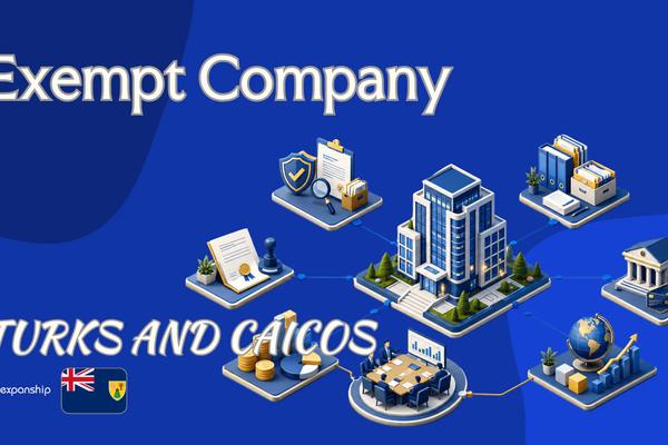 Exempt Company in Turks and Caicos: Features and Tax