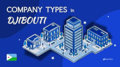Types of Companies in Djibouti | 8 Entity Structures Covered