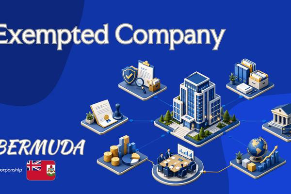 Exempted Company in Bermuda: Structure and Formation
