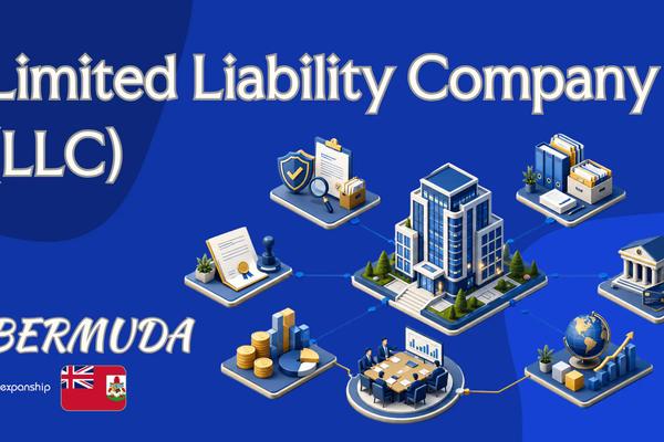 Bermuda Limited Liability Company (LLC): Formation