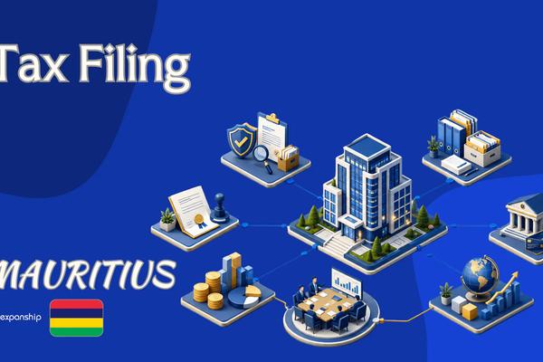Filing IT Form 3 with the MRA in Mauritius Explained