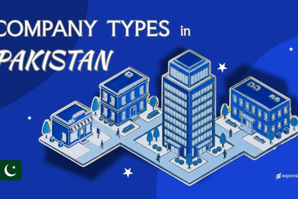 Types of Companies in Pakistan | Full Entity Structure Guide