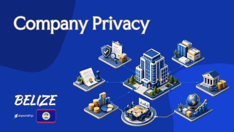How Company Privacy Works in Belize for IBCs and LLCs