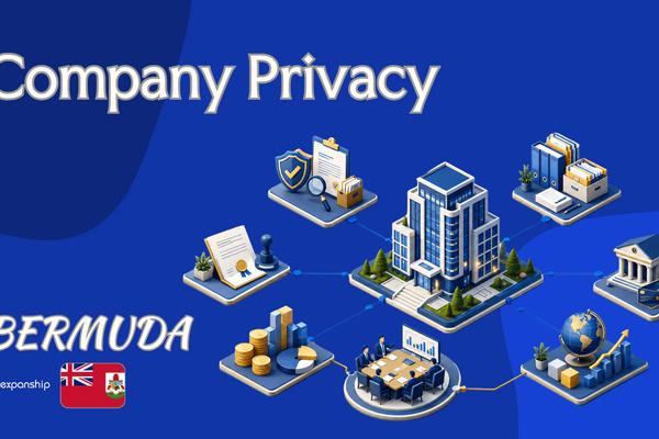 Bermuda Company Privacy: Ownership and Director Visibility