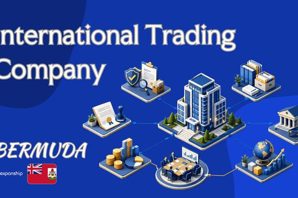 International Trading Company in Bermuda | Overview