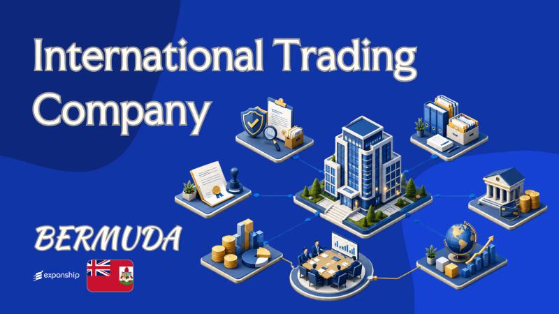 International Trading Company in Bermuda | Overview