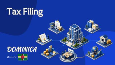 Corporate Income Tax Return in Dominica | Filing Guide