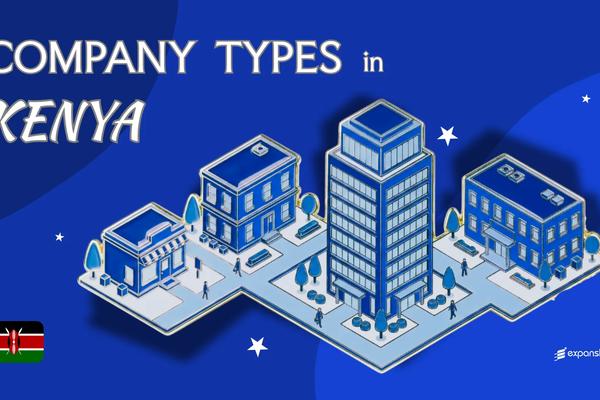 Types of Companies in Kenya | 11 Entity Structures Explained
