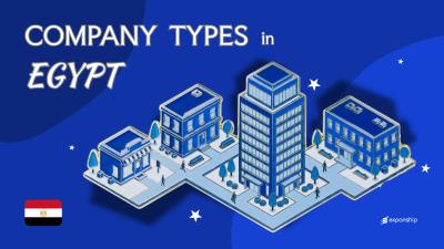 Company Types in Egypt | 9 Business Structures Explained