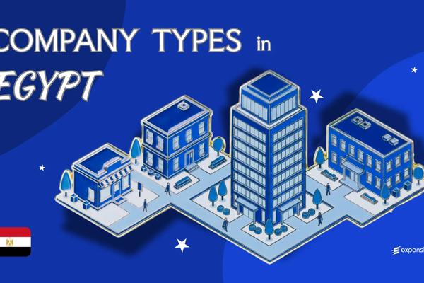 Company Types in Egypt | 9 Business Structures Explained