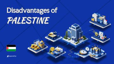 Cons of Incorporating in Palestine | Key Drawbacks Explained