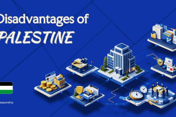 Cons of Incorporating in Palestine | Key Drawbacks Explained