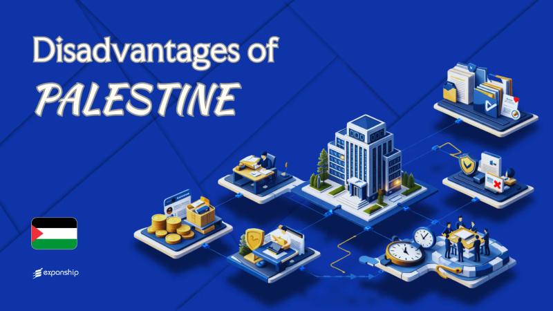 Cons of Incorporating in Palestine | Key Drawbacks Explained
