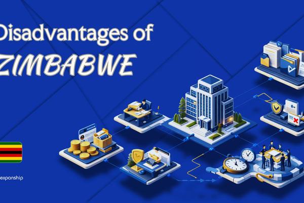 Disadvantages of Incorporating in Zimbabwe | 8 Drawbacks