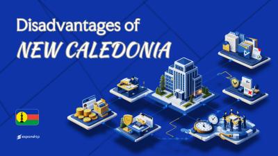 Disadvantages of Incorporating in New Caledonia Explained