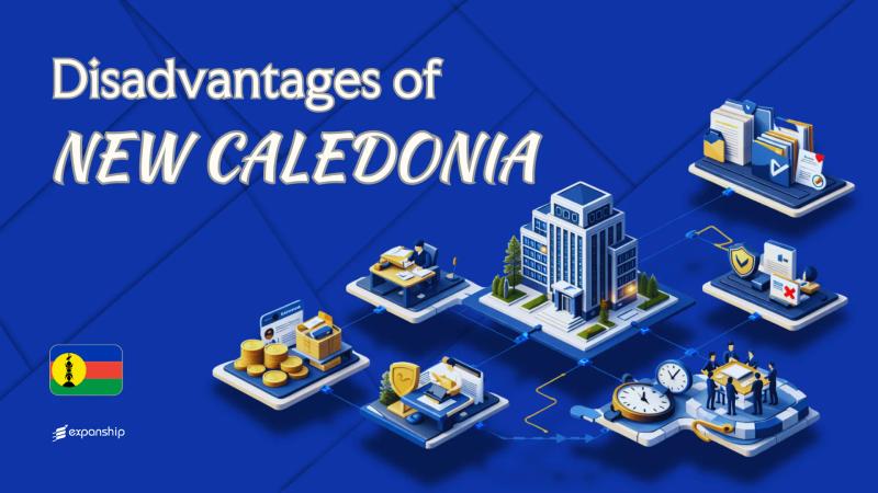 Disadvantages of Incorporating in New Caledonia Explained