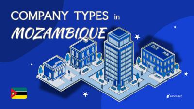 Types of Companies in Mozambique | 7 Structures Explained