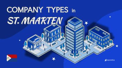 Types of Companies in Sint Maarten | 7 Structures Compared