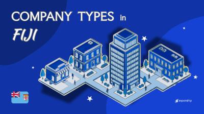Types of Companies in Fiji | Full Entity Structure Overview