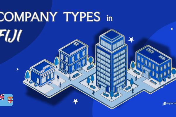 Types of Companies in Fiji | Full Entity Structure Overview