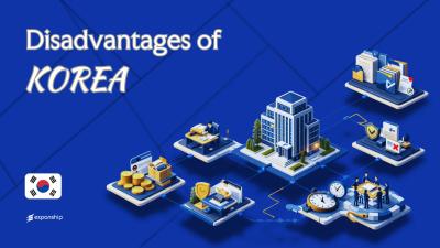 Disadvantages of Incorporating in South Korea Explained