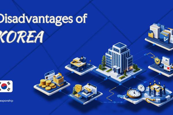 Disadvantages of Incorporating in South Korea Explained