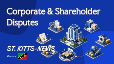 Corporate Disputes in St. Kitts and Nevis for Owners