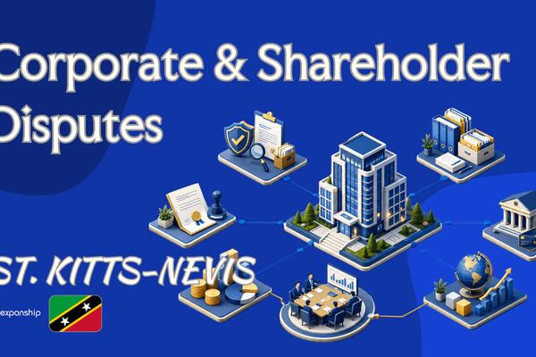 Corporate Disputes in St. Kitts and Nevis for Owners