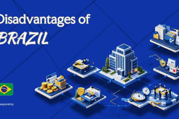 Cons of Incorporating in Brazil | What Investors Should Know