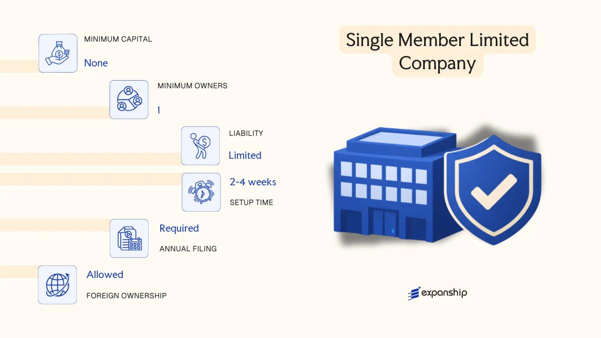 Single Member Limited Company in Democratic Republic of the Congo - key features and requirements