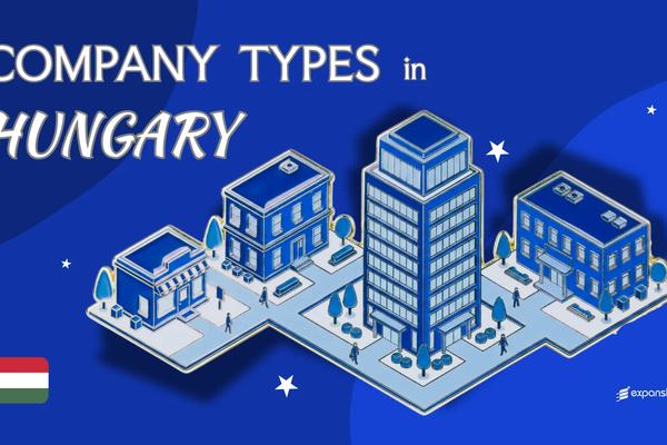 Company Types in Hungary | 8 Business Structures Compared
