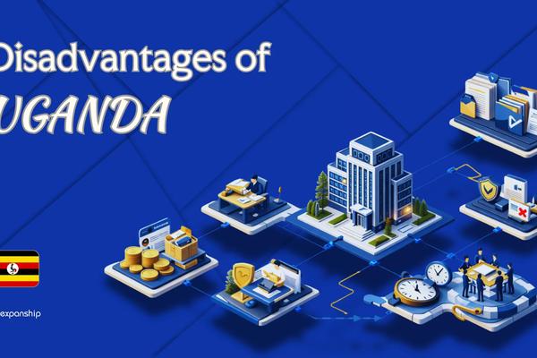 Disadvantages of Incorporating in Uganda | Full Breakdown