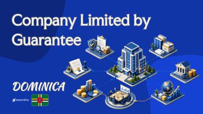 Company Limited by Guarantee: Dominica Formation Basics