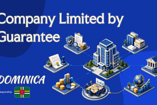 Company Limited by Guarantee: Dominica Formation Basics