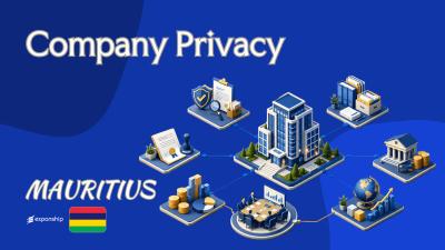 Mauritius Company Privacy: What Foreign Owners Should Know
