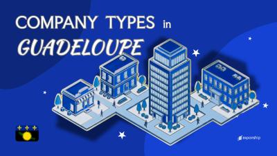 Company Types in Guadeloupe | 8 Entity Structures Compared