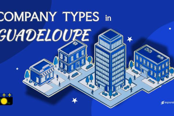 Company Types in Guadeloupe | 8 Entity Structures Compared