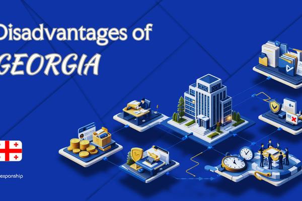 Drawbacks of Setting Up a Company in Georgia | Explained