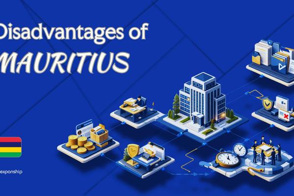 Cons of Incorporating in Mauritius | Key Drawbacks Explained