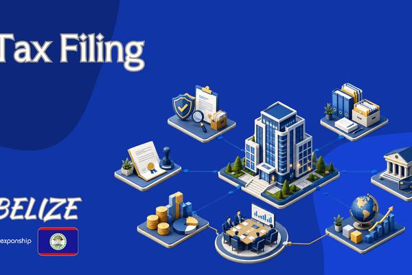 Annual Business Tax Return in Belize | Form BTS290