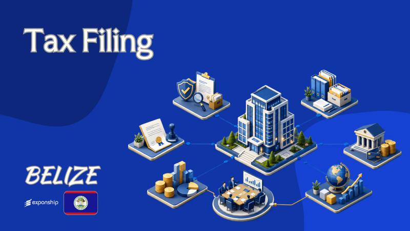 Annual Business Tax Return in Belize | Form BTS290