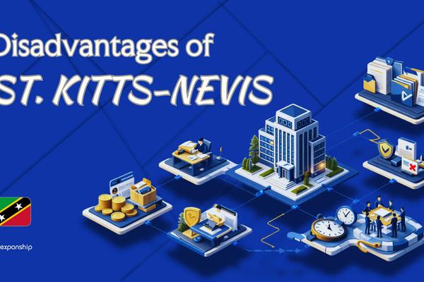 Cons of Incorporating in St. Kitts and Nevis | 6 Drawbacks