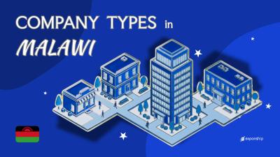 Types of Companies in Malawi | 8 Entity Structures Covered
