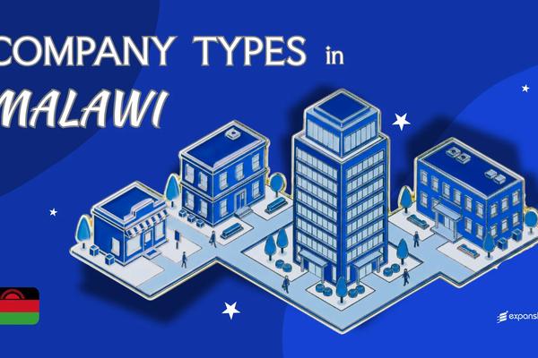 Types of Companies in Malawi | 8 Entity Structures Covered