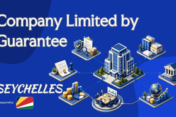 Company Limited by Guarantee in Seychelles for Non-Residents