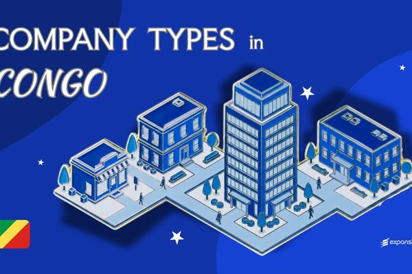 Types of Companies in Republic of the Congo | Full Overview