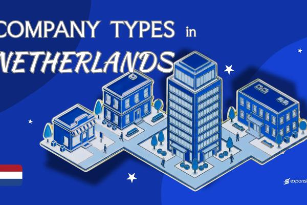 Company Types in the Netherlands | 8 Structures Explained