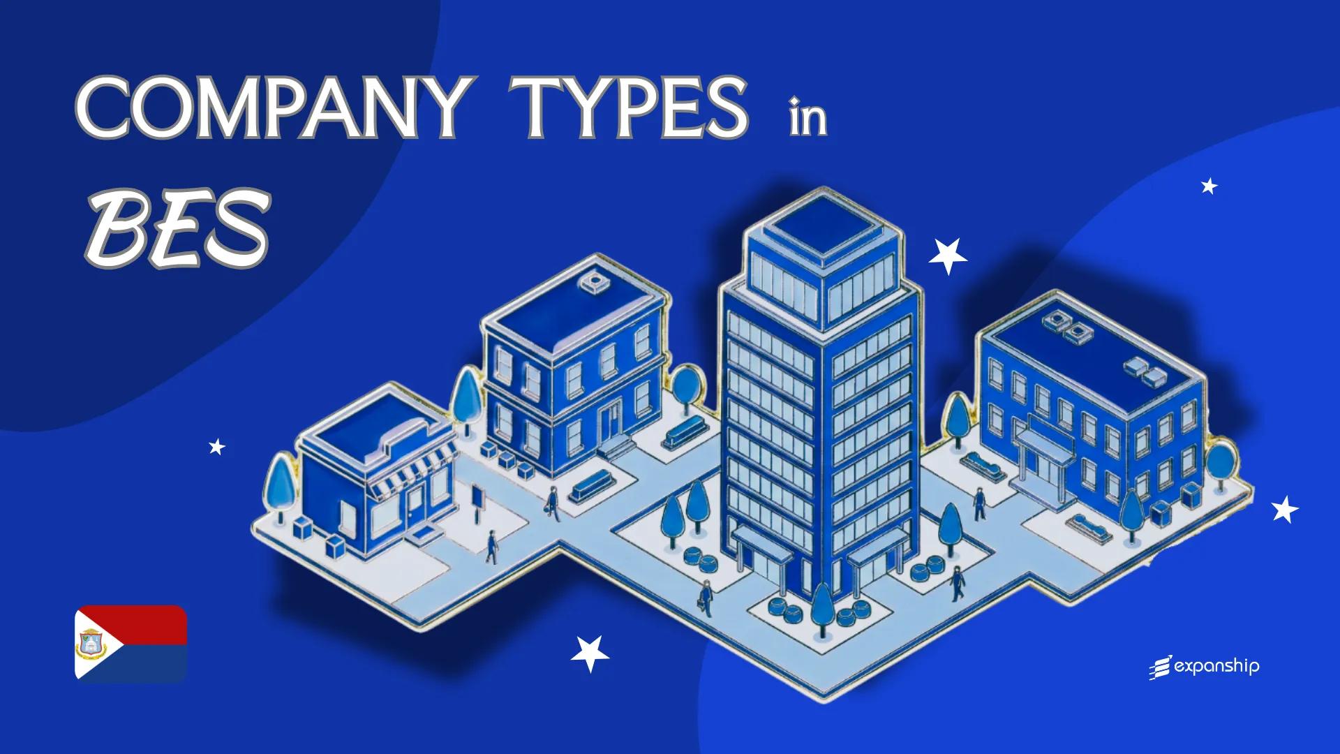 Types of Companies in BES Islands | 7 Structures Compared