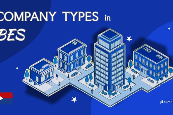Types of Companies in BES Islands | 7 Structures Compared